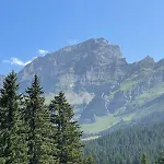 Taveyannaz 샬레 *