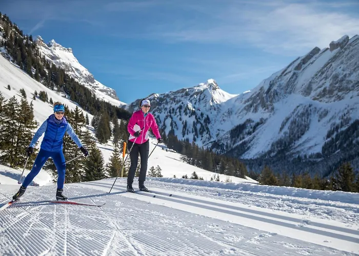 Taveyannaz Taveyannaz