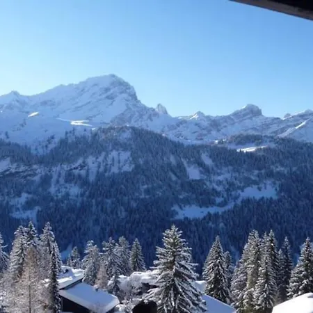 Taveyannaz Chalet *