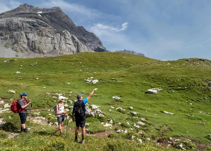 Taveyannaz Alpstuga Taveyannaz