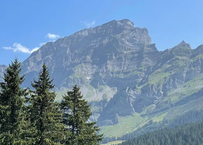 Taveyannaz Alpstuga *