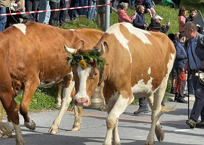 Alpstuga Taveyannaz *