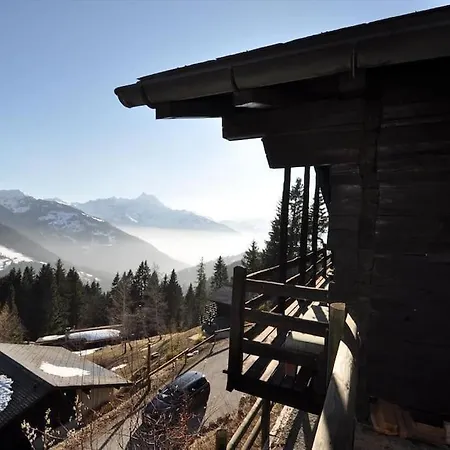 Taveyannaz Chalet Taveyannaz